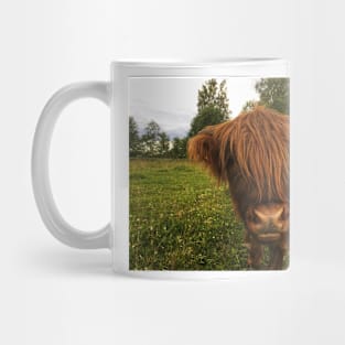 Scottish Highland Cattle Calf 2052 Mug